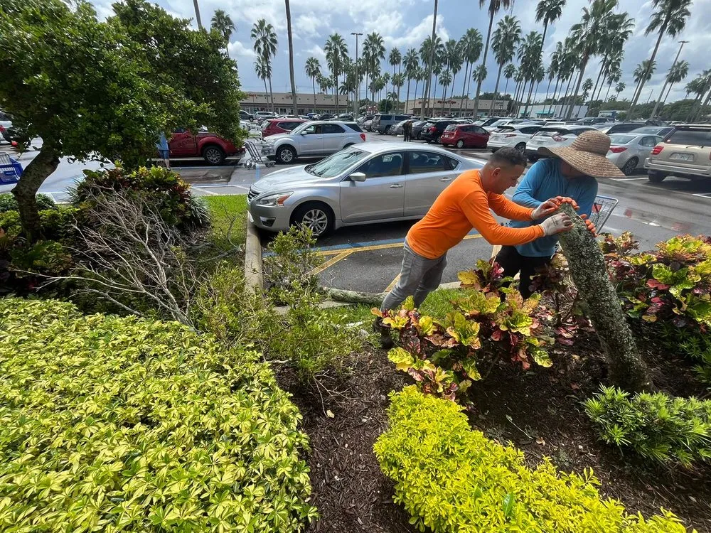 Reliable garden landscaping in Davie, FL - The Green Experts Landscaping