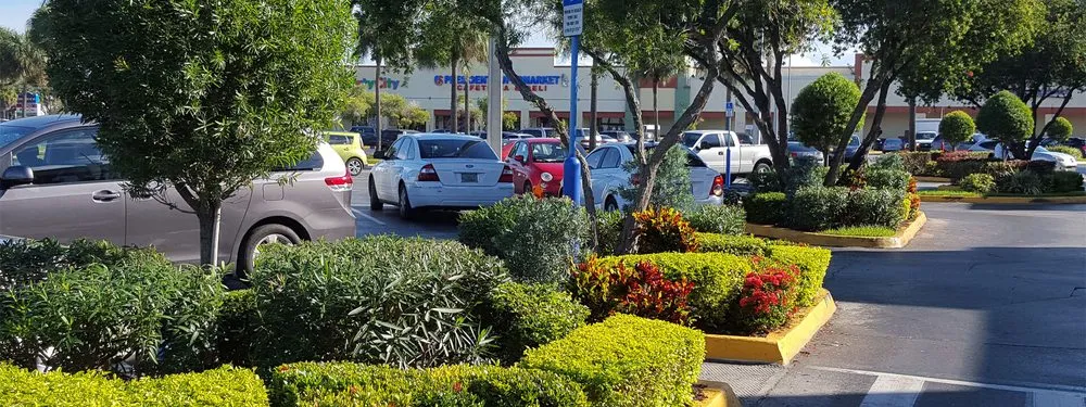 Custom landscaping services experts serving Davie, FL - The Green Experts Landscaping