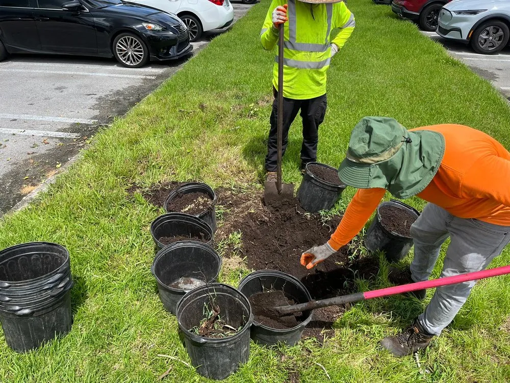 Expert landscape design experts serving Davie, FL - The Green Experts Landscaping