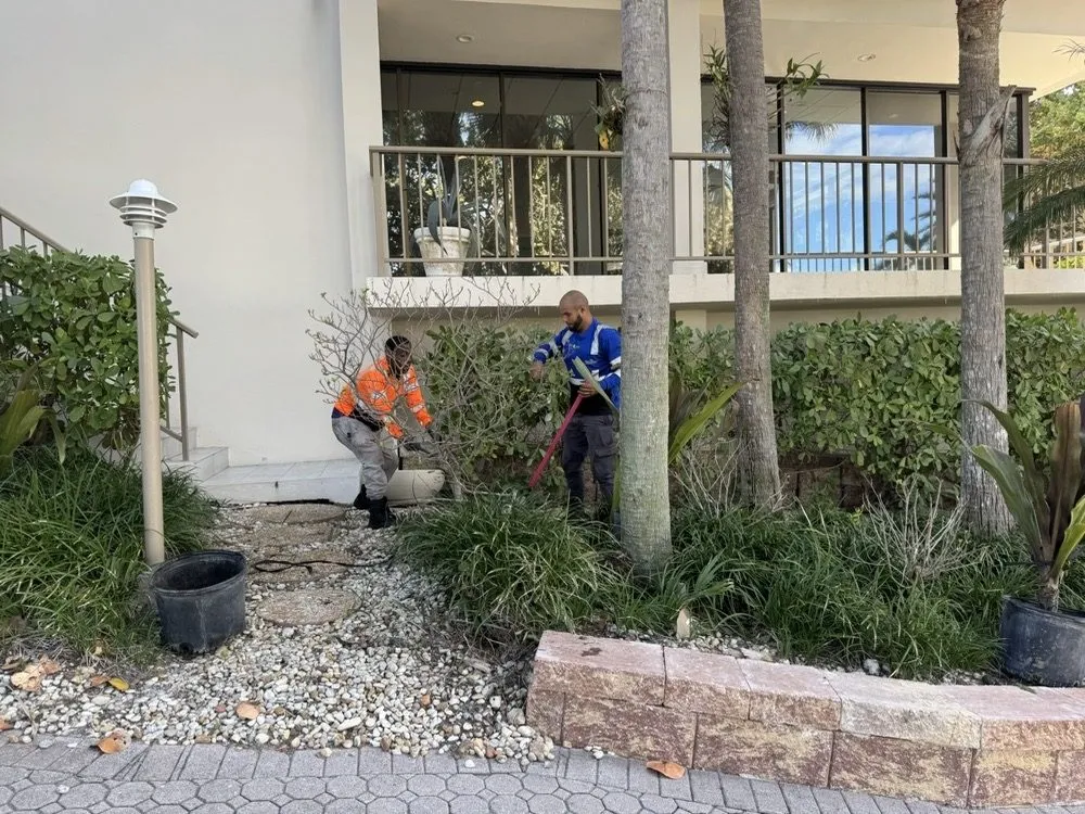 Expert garden landscaping for year-round maintenance in Davie, FL by The Green Experts Landscaping