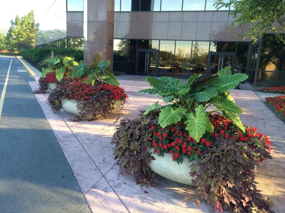 Expert landscaping services experts serving Indianapolis, IN - The Green Gang