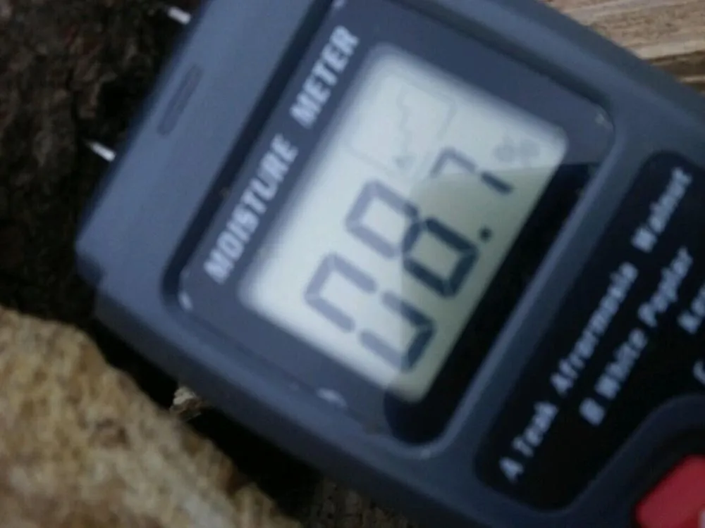 Professional yard cleanup service for beautiful yards across Indianapolis, IN - The Green Gang