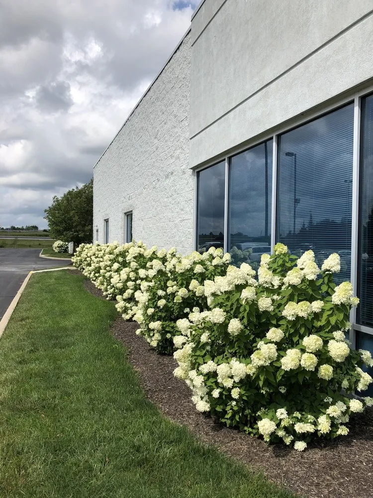 Expert outdoor landscaping for beautiful yards in Indianapolis, IN by The Green Gang