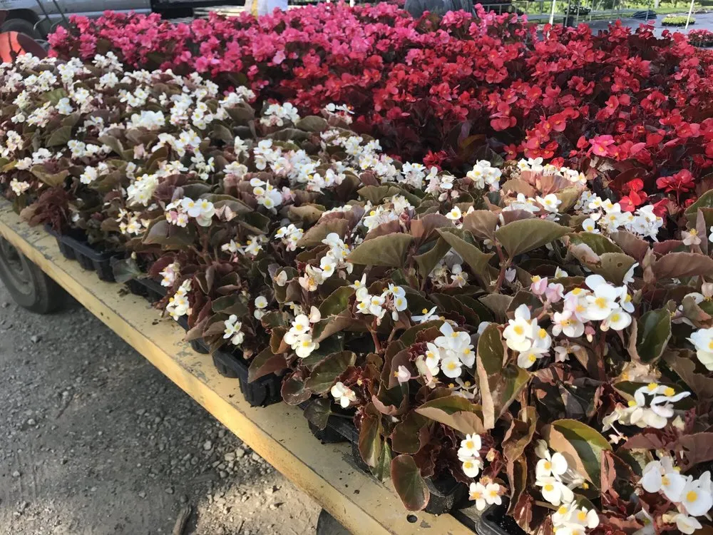 Affordable landscape installation in Indianapolis, IN by The Green Gang