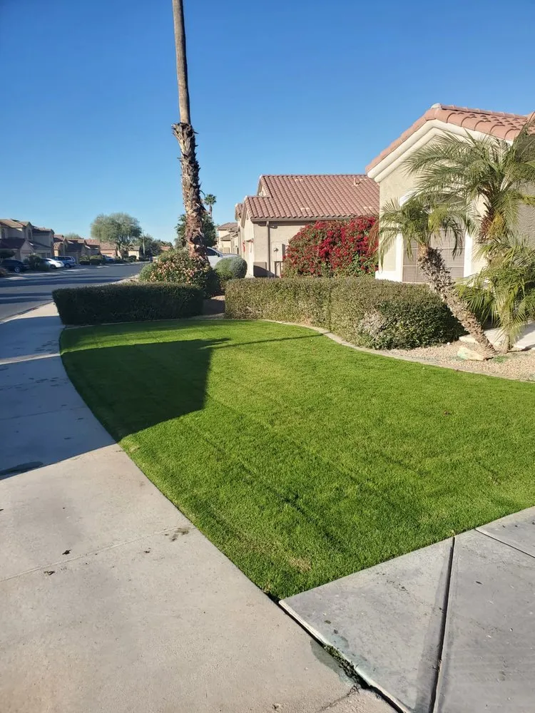 Top-rated yard cleanup service for homes across Goodyear, AZ - The Green Garden yard Services
