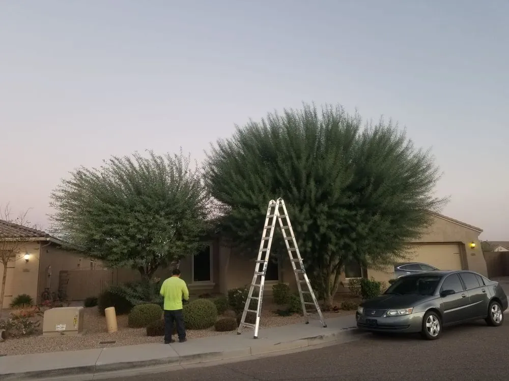 Local garden landscaping for outdoor upgrades in Goodyear, AZ by The Green Garden yard Services