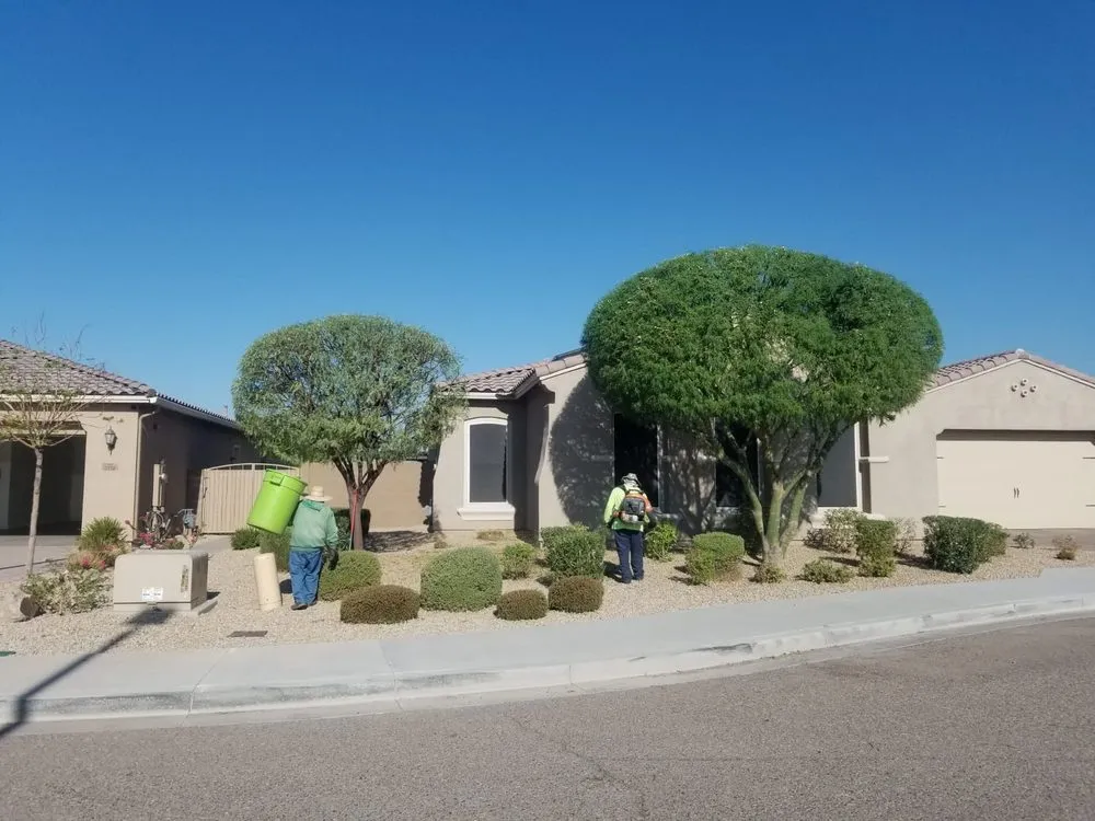 Expert outdoor landscaping in Goodyear, AZ by The Green Garden yard Services