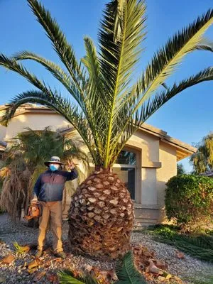 The Green Garden yard Services Logo