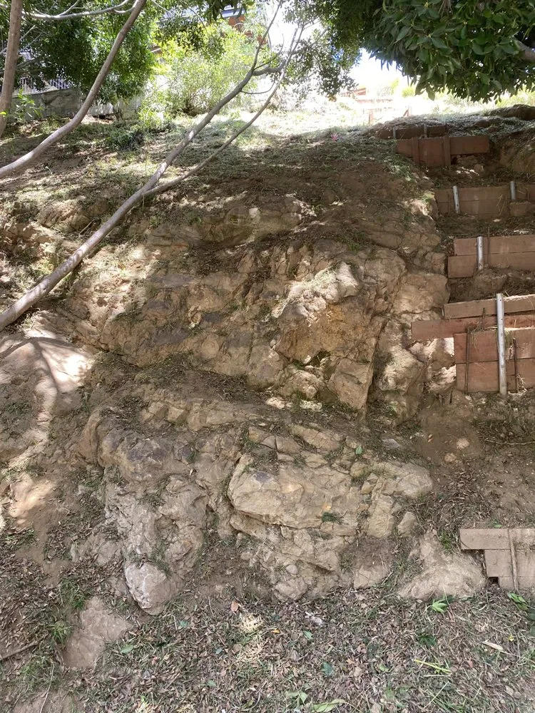 Expert garden landscaping for beautiful yards in Sherman Oaks, CA by The Green Gardeners