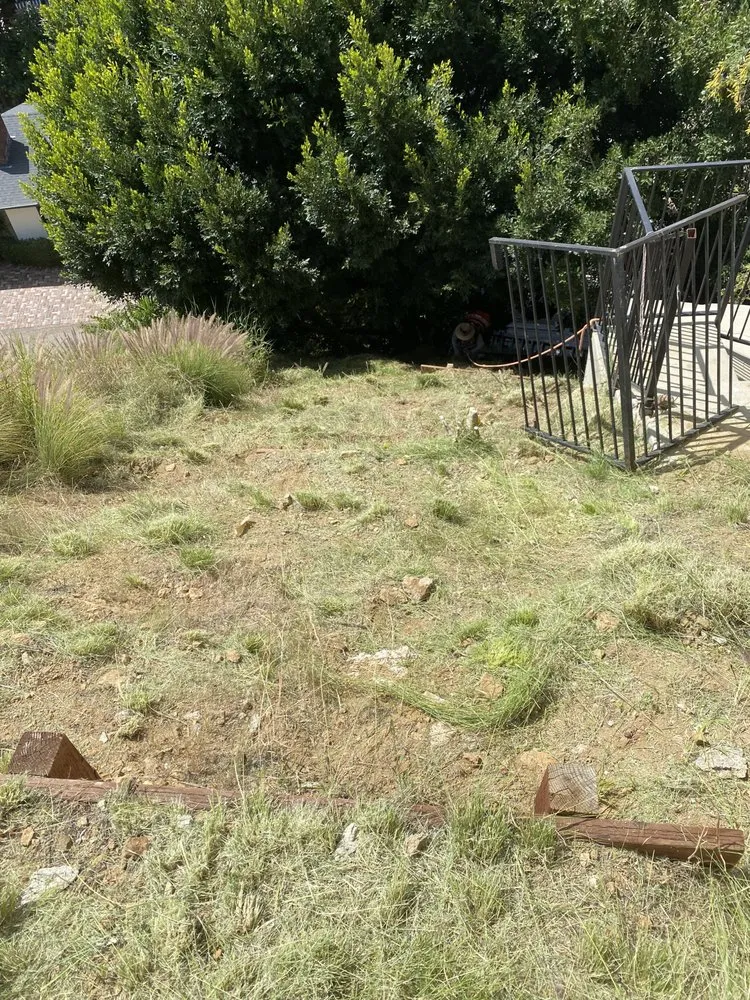 Expert residential landscaping in Sherman Oaks, CA by The Green Gardeners