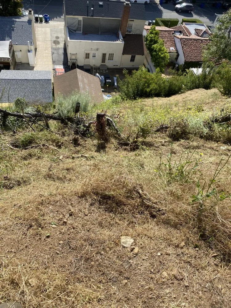 Custom garden landscaping in Sherman Oaks, CA by The Green Gardeners