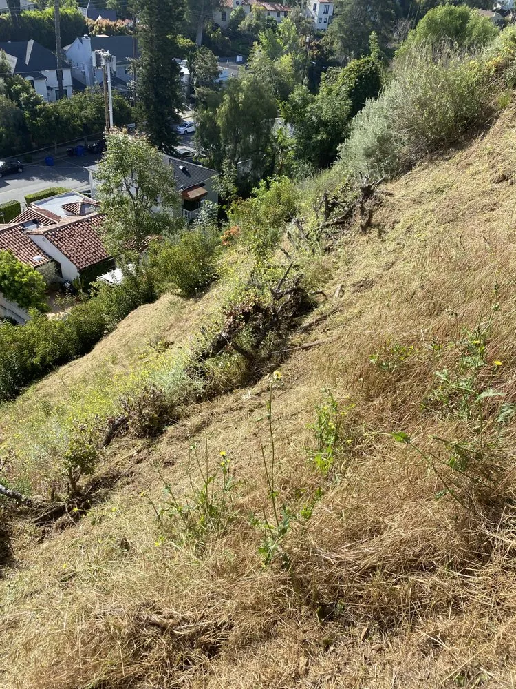 Affordable outdoor landscaping for residential properties in Sherman Oaks, CA by The Green Gardeners