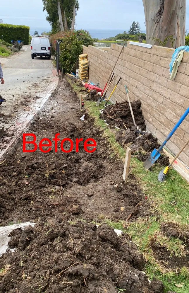 Top-rated yard maintenance for homes in Sherman Oaks, CA by The Green Gardeners