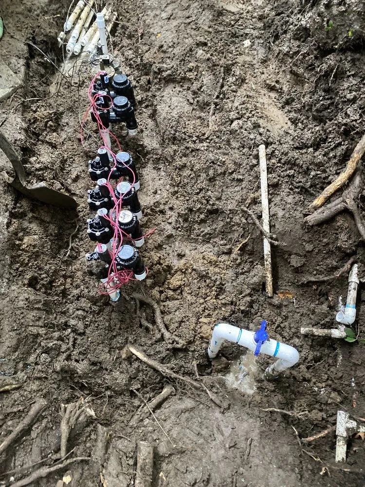 Local yard maintenance for year-round maintenance across Sherman Oaks, CA - The Green Gardeners