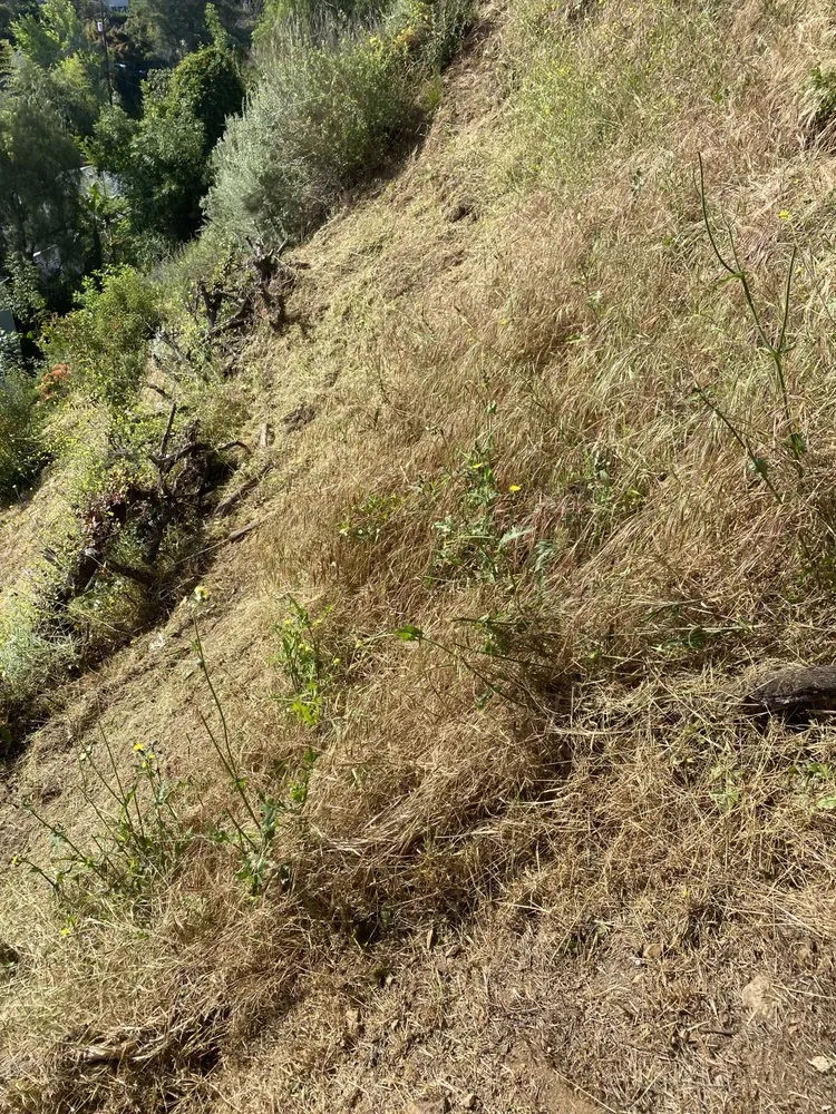 Trusted landscape design in Sherman Oaks, CA by The Green Gardeners