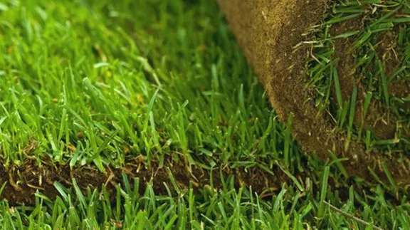 Reliable landscape design in Lynchburg, VA - The Green Goat