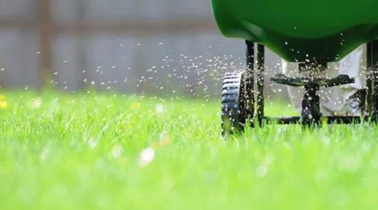 Reliable outdoor landscaping in Lynchburg, VA - The Green Goat