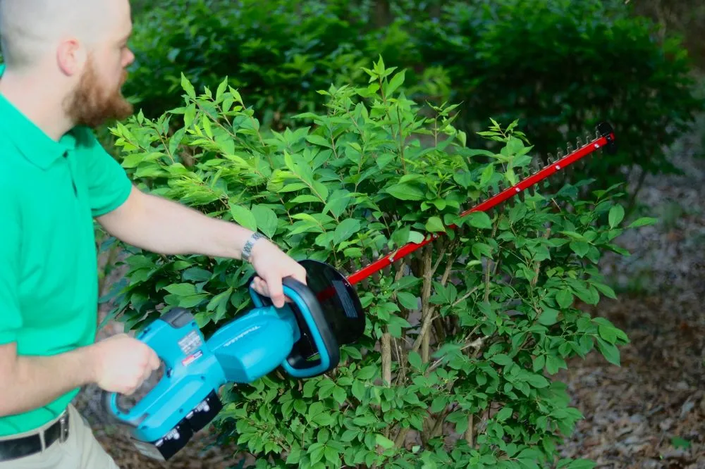 Top-rated residential landscaping in Williamsburg, VA by The Green Guys Eco Friendly Lawn Care