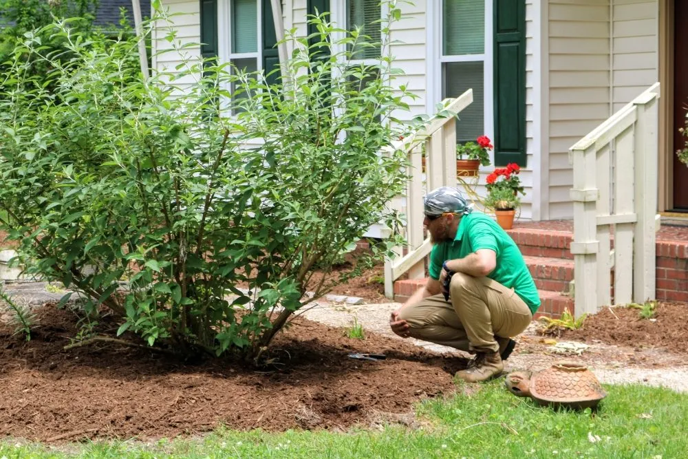 Local lawn mowing service in Williamsburg, VA - The Green Guys Eco Friendly Lawn Care