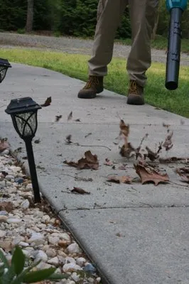 The Green Guys Eco Friendly Lawn Care