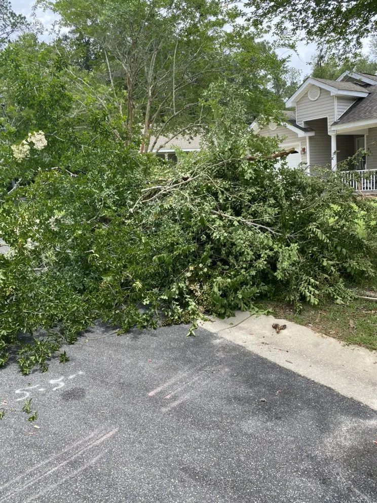 Local landscape installation in Tallahassee, FL by The Green Guyz Lawn Service