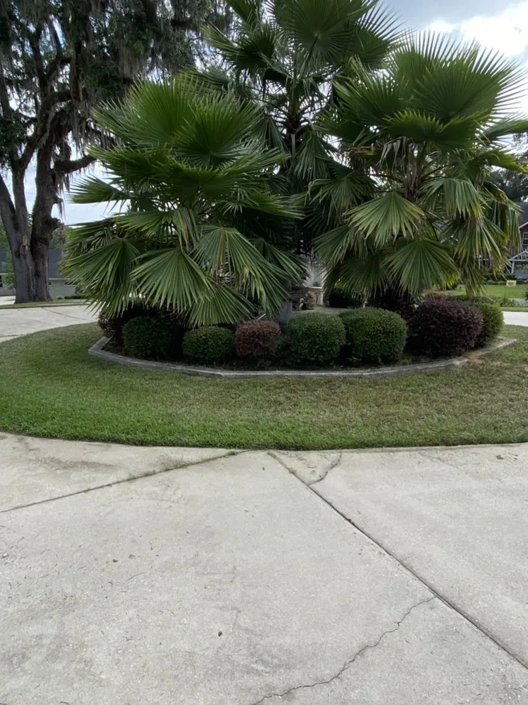 Affordable outdoor landscaping for beautiful yards in Tallahassee, FL by The Green Guyz Lawn Service