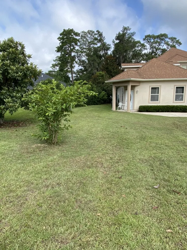 Expert landscape design for homes across Tallahassee, FL - The Green Guyz Lawn Service