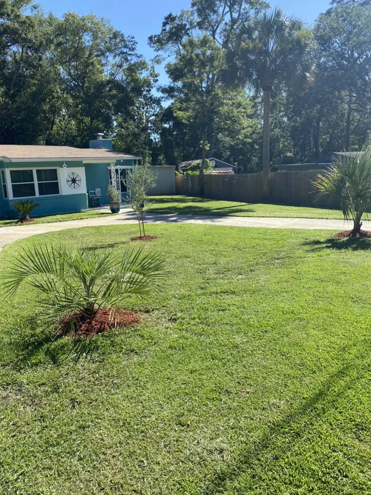 Custom landscaping services for year-round maintenance across Tallahassee, FL - The Green Guyz Lawn Service