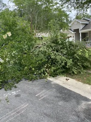 The Green Guyz Lawn Service Logo