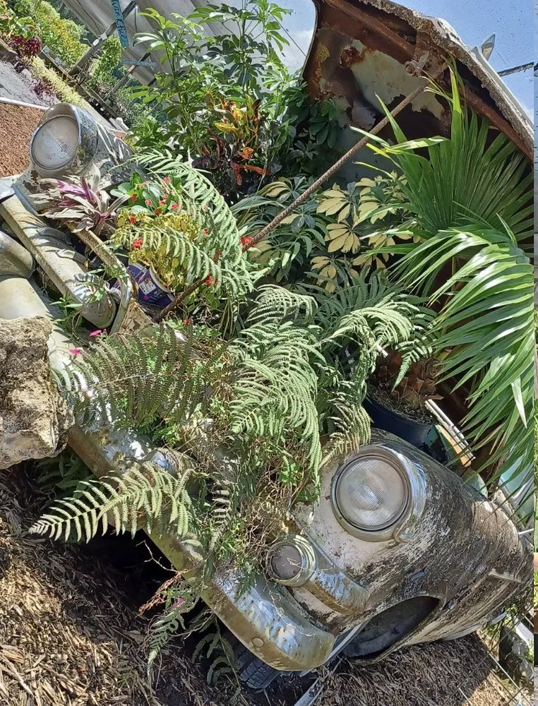 Professional lawn mowing service for residential properties in Newberry, FL by The Green House Nursery