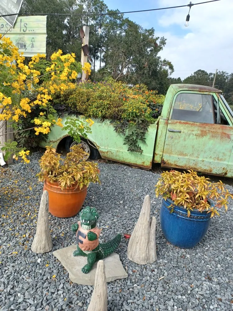 Professional landscape installation in Newberry, FL by The Green House Nursery