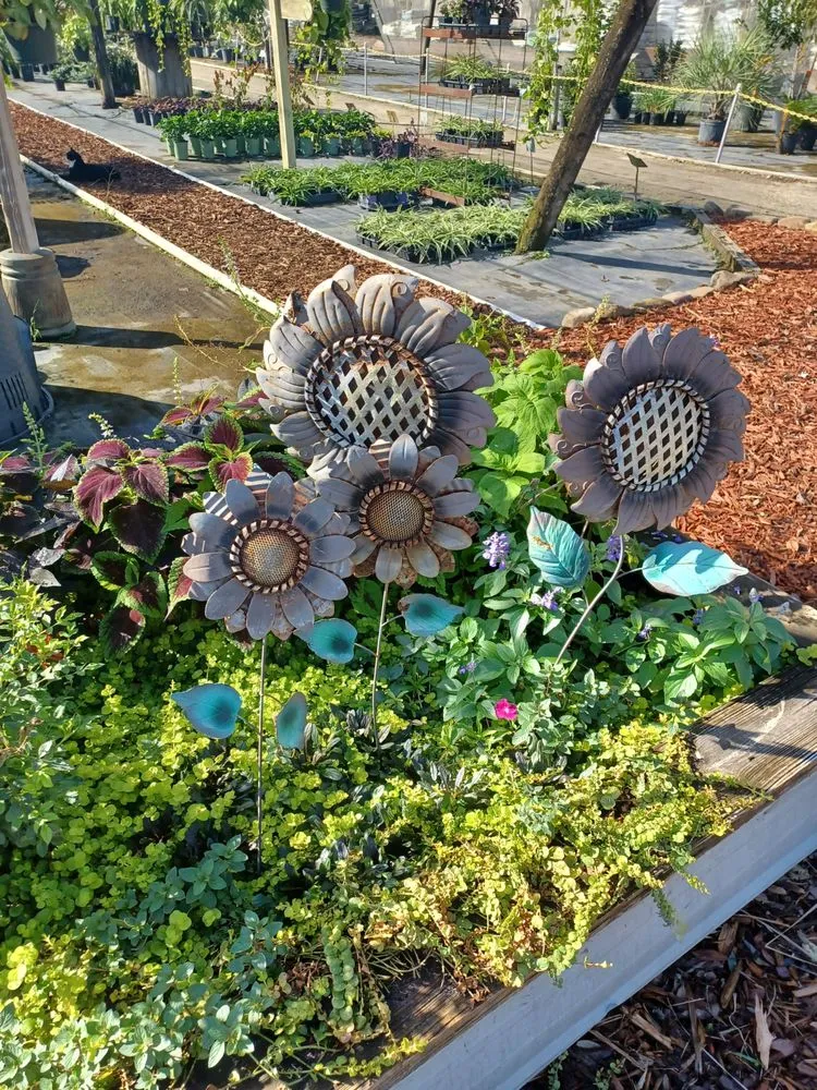 Trusted landscape design in Newberry, FL by The Green House Nursery