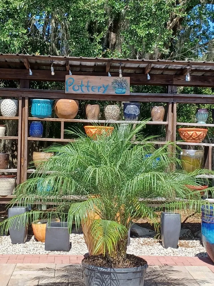 Reliable outdoor landscaping in Newberry, FL by The Green House Nursery