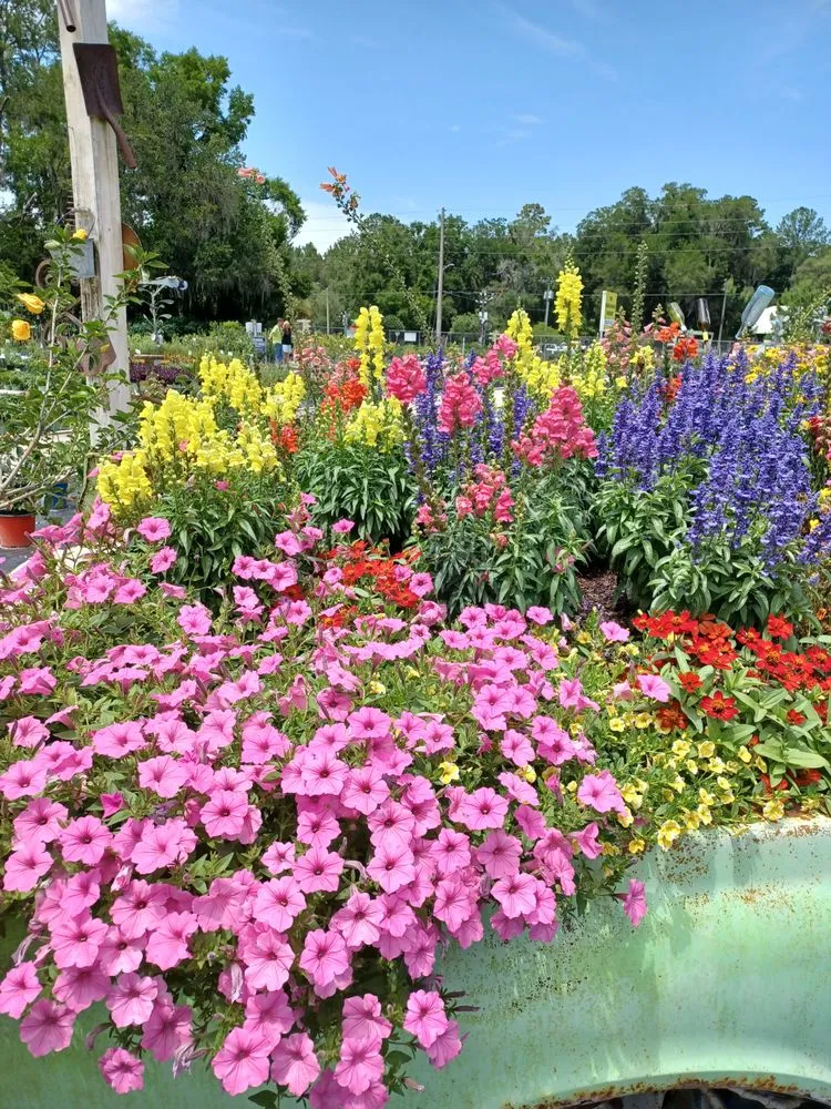 Affordable landscape design in Newberry, FL by The Green House Nursery