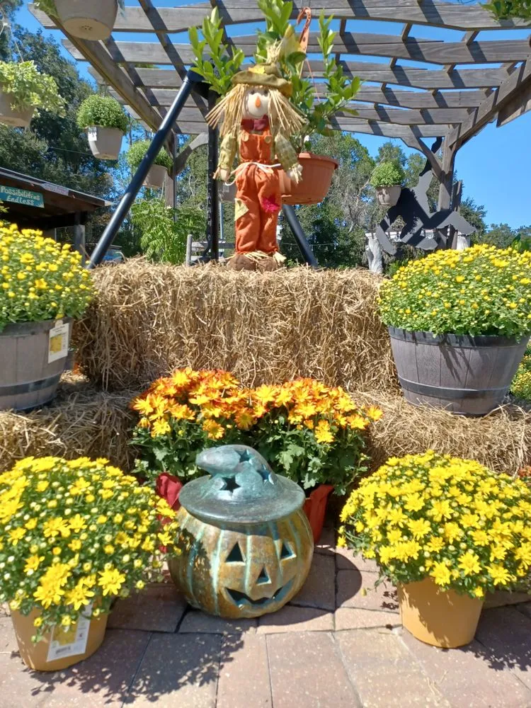 Affordable landscape design in Newberry, FL by The Green House Nursery