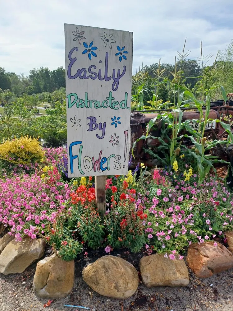 Professional landscape design for year-round maintenance across Newberry, FL - The Green House Nursery