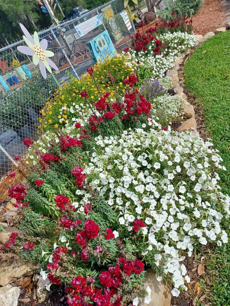 Professional outdoor landscaping near you in Newberry, FL by The Green House Nursery