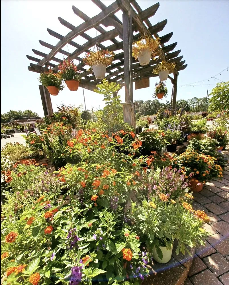 Trusted residential landscaping in Newberry, FL - The Green House Nursery