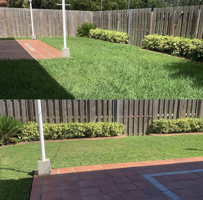 Affordable yard maintenance in Miami, FL - The Green King Landscaper