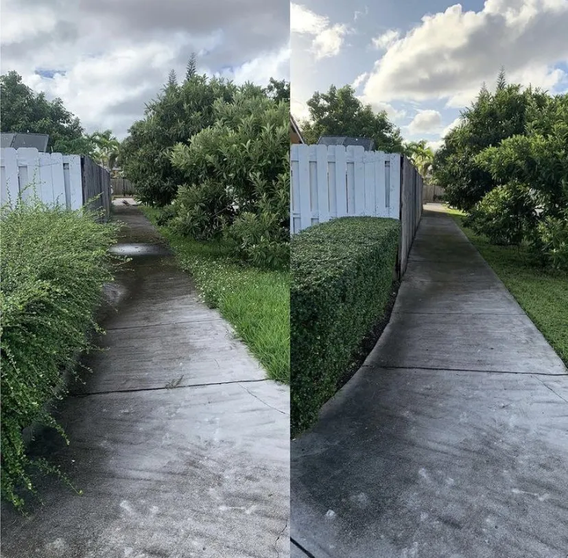 Expert residential landscaping in Miami, FL - The Green King Landscaper