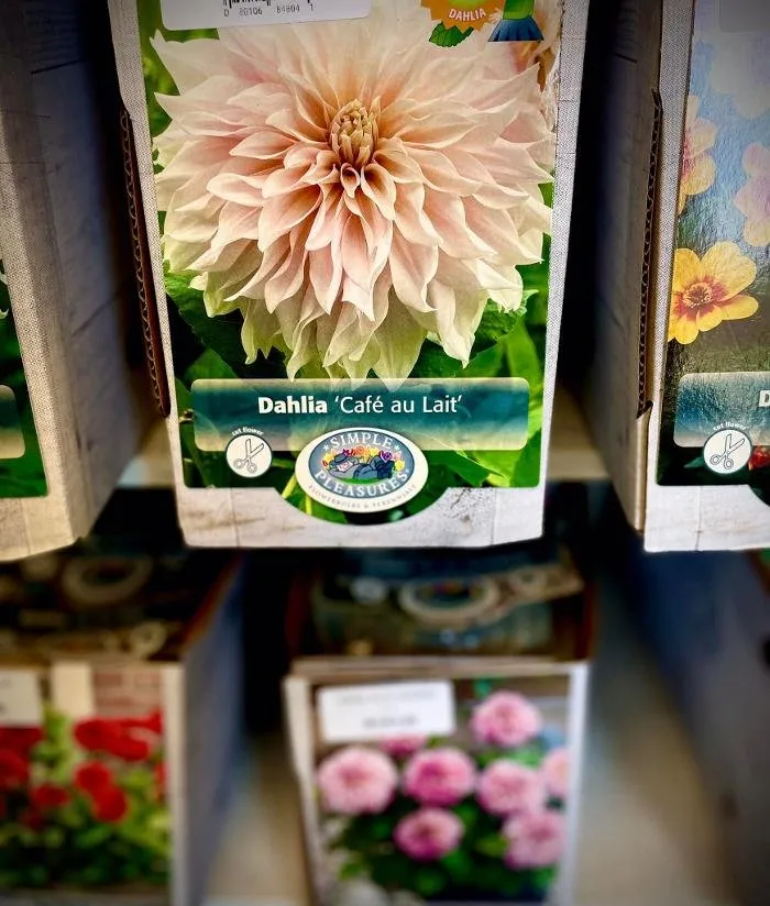 Reliable yard maintenance in Spicer, MN by The Green Lake Nursery