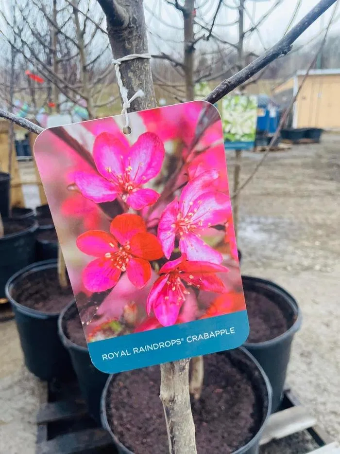 Top-rated garden landscaping in Spicer, MN by The Green Lake Nursery