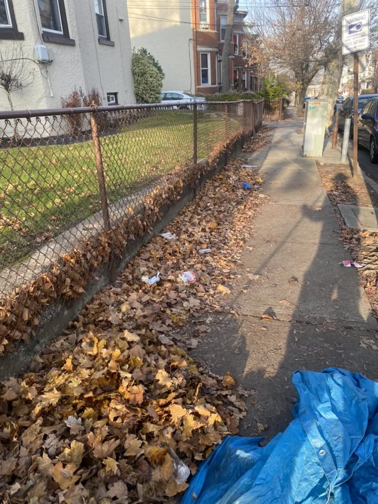 Expert yard cleanup service in Jersey City, NJ - The Green Landscaping Service