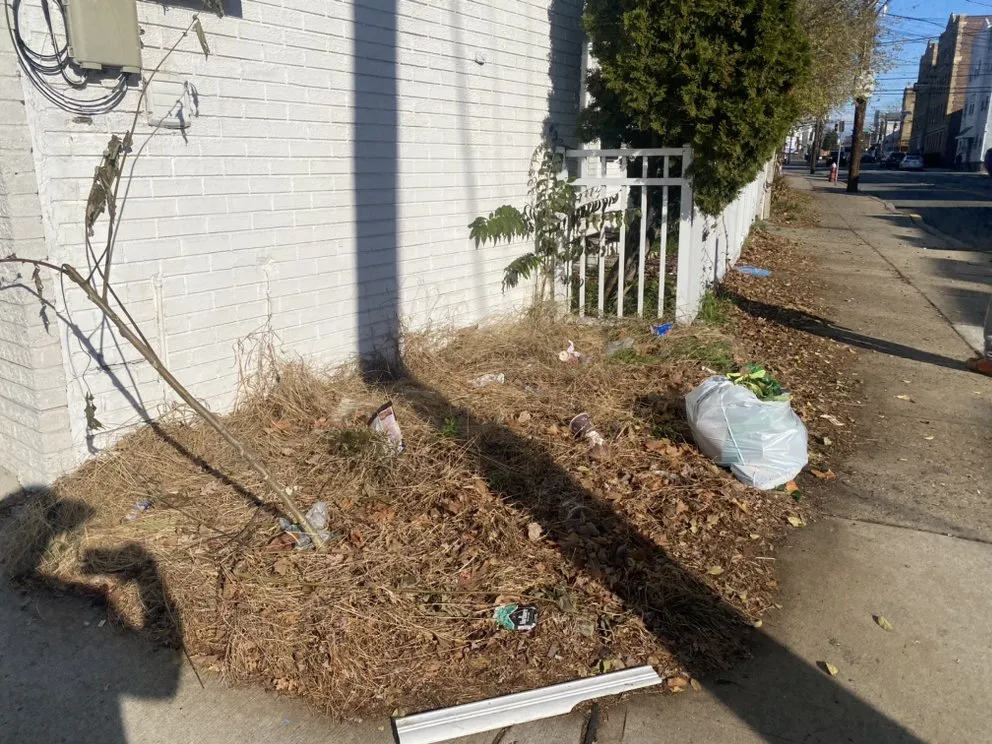 Affordable landscape design for year-round maintenance in Jersey City, NJ by The Green Landscaping Service