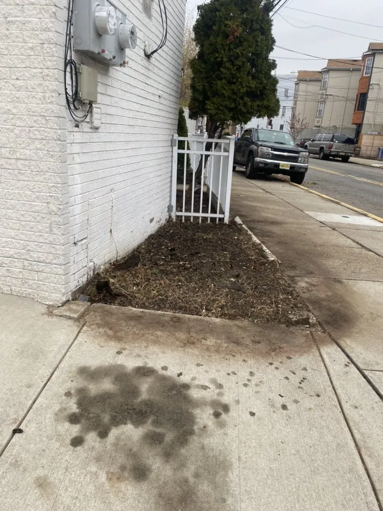 Reliable lawn care service with custom design across Jersey City, NJ - The Green Landscaping Service