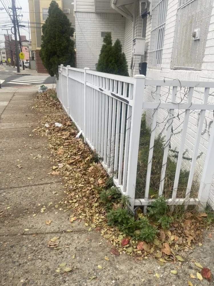 Top-rated outdoor landscaping experts serving Jersey City, NJ - The Green Landscaping Service