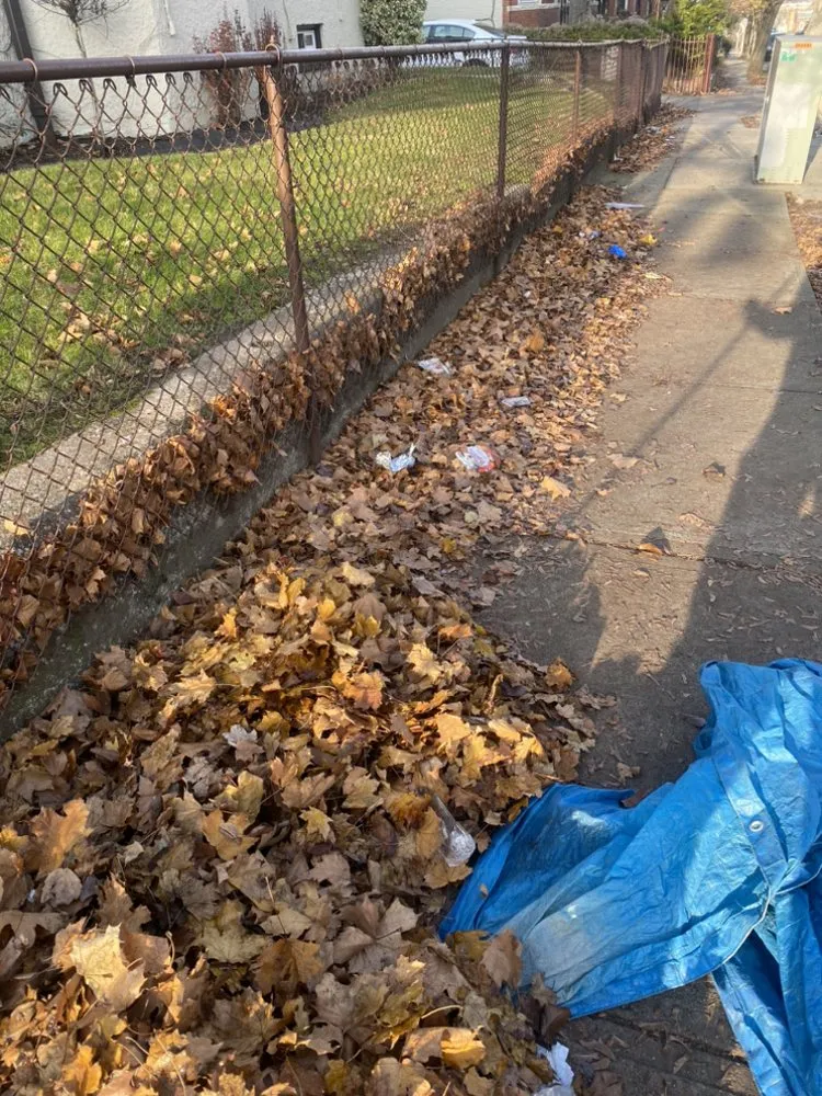 Affordable landscape installation experts serving Jersey City, NJ - The Green Landscaping Service