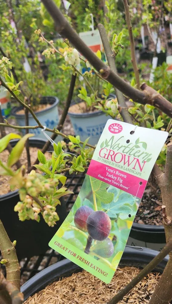 Custom garden landscaping experts serving Bloomfield, CT - The Green Machine