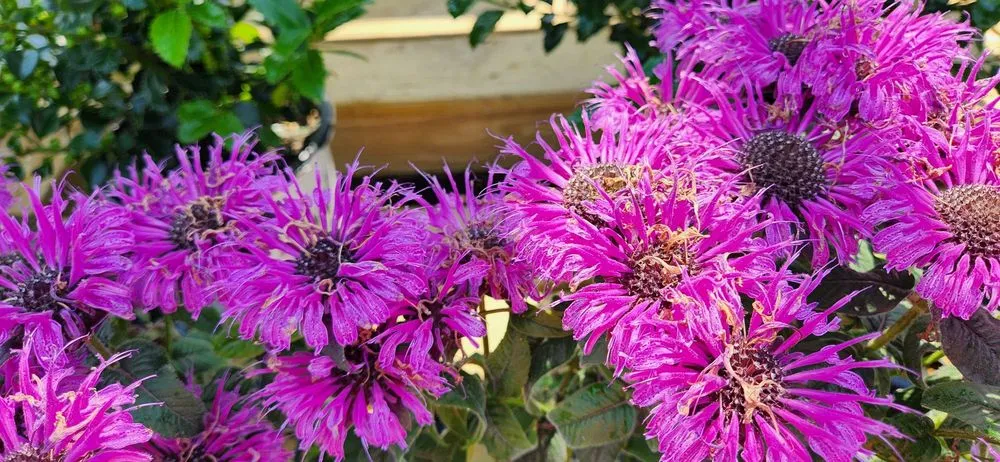 Trusted landscape installation experts serving Bloomfield, CT - The Green Machine