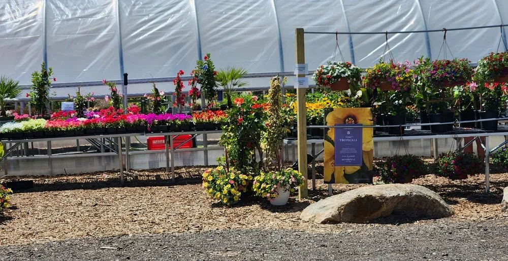 Trusted outdoor landscaping in Bloomfield, CT - The Green Machine